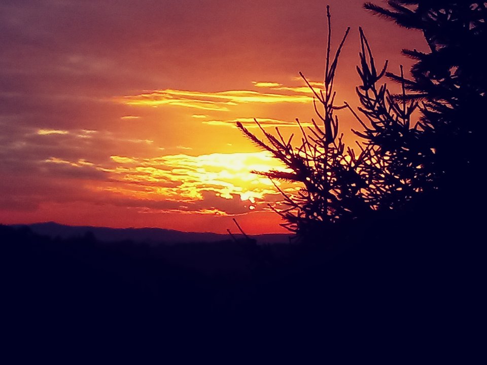 20170823_192450_Film1.jpg - maks1970