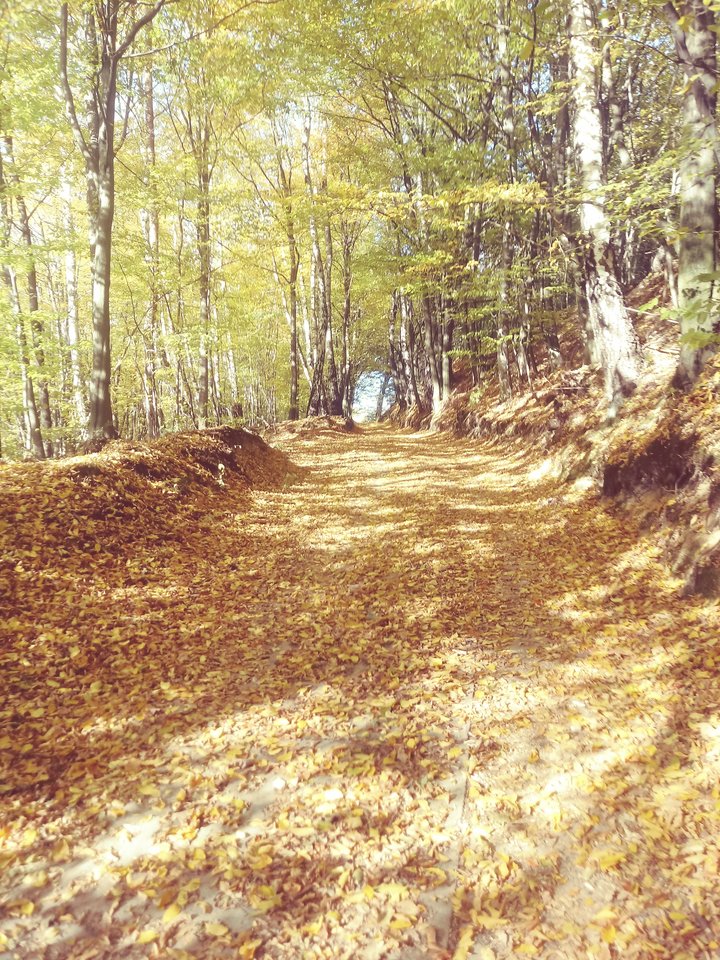 20181014_150808_Film4.jpg - maks1970