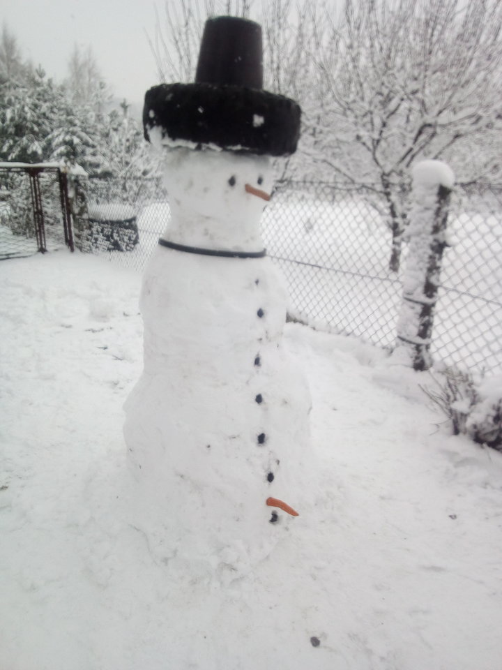 IMG_20190105_105521.jpg - mak31