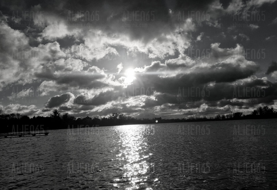 20190105_140847.jpg - Alien65