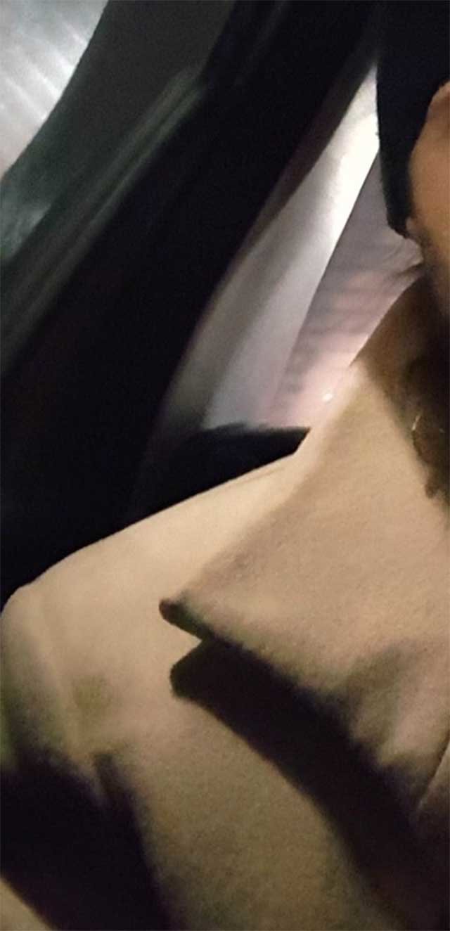 cxxxvii