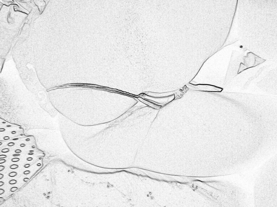 IMG_20190105_194917.jpg - paaul