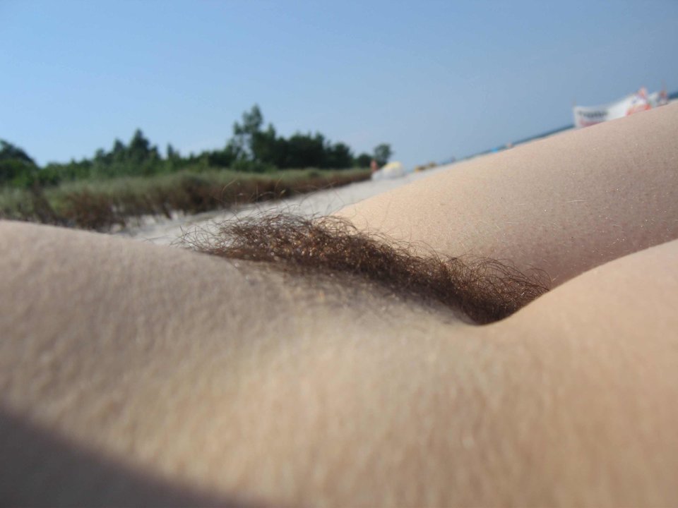 IS_IMG_8439.jpg - BORSUK100