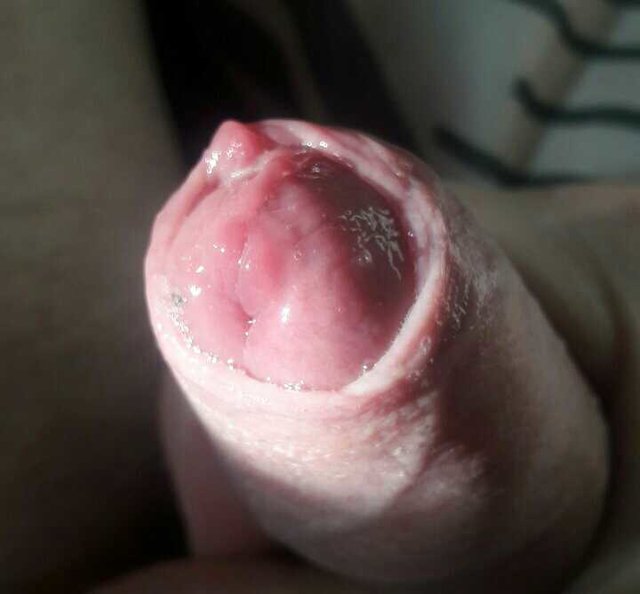 1485506653980.jpg - Asasin343