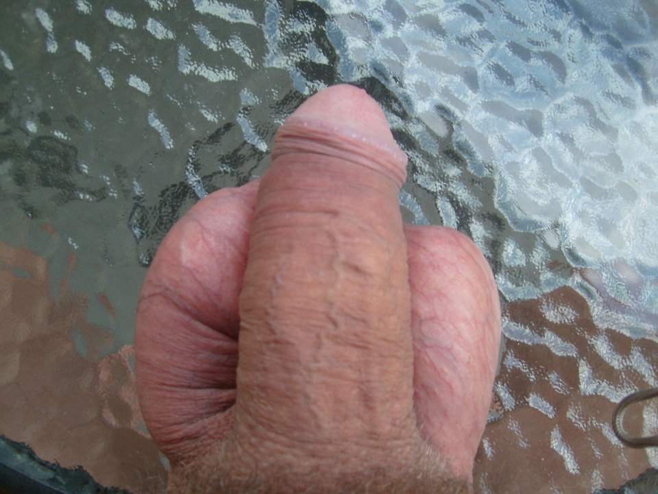 S7300014.JPG - jamnik7522