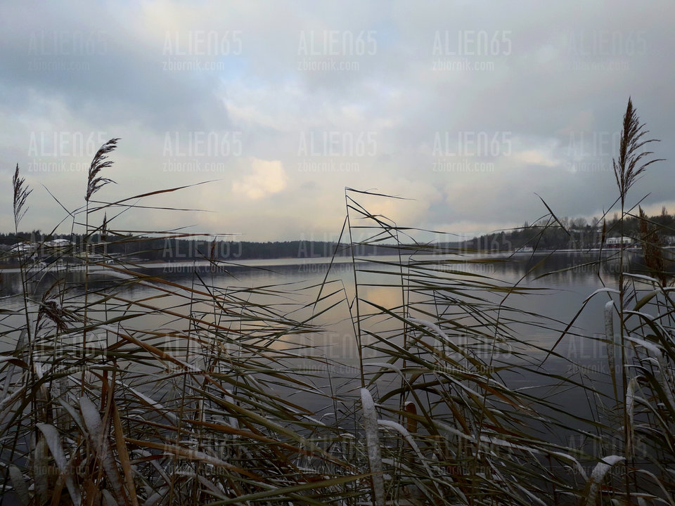 20181216_132843.jpg - Alien65