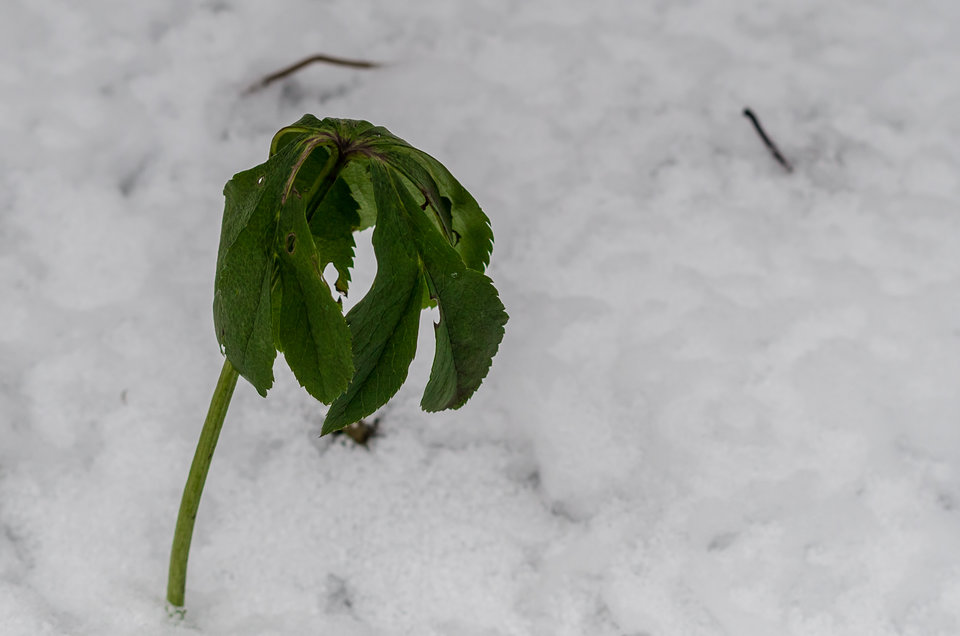 Niemiłe zaskoczenie - mystic