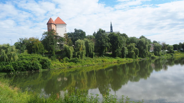 FAJNYszalonyDLAszalonej