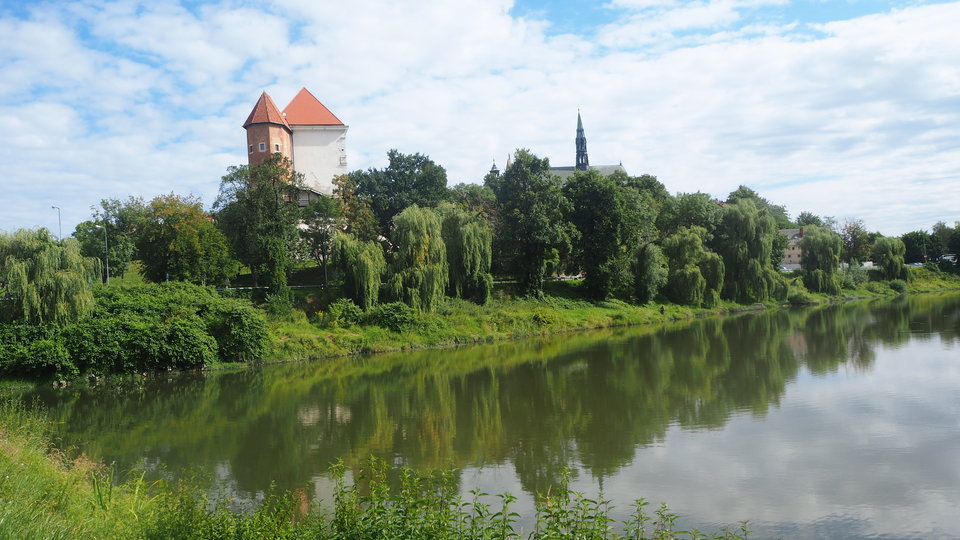 fotoo.JPG - FAJNYszalonyDLAszalonej