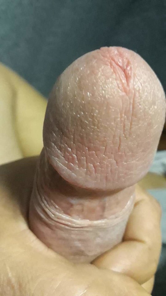 received_229264431293451.jpeg - Marchewy