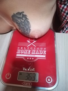 No to wazymy delfinka