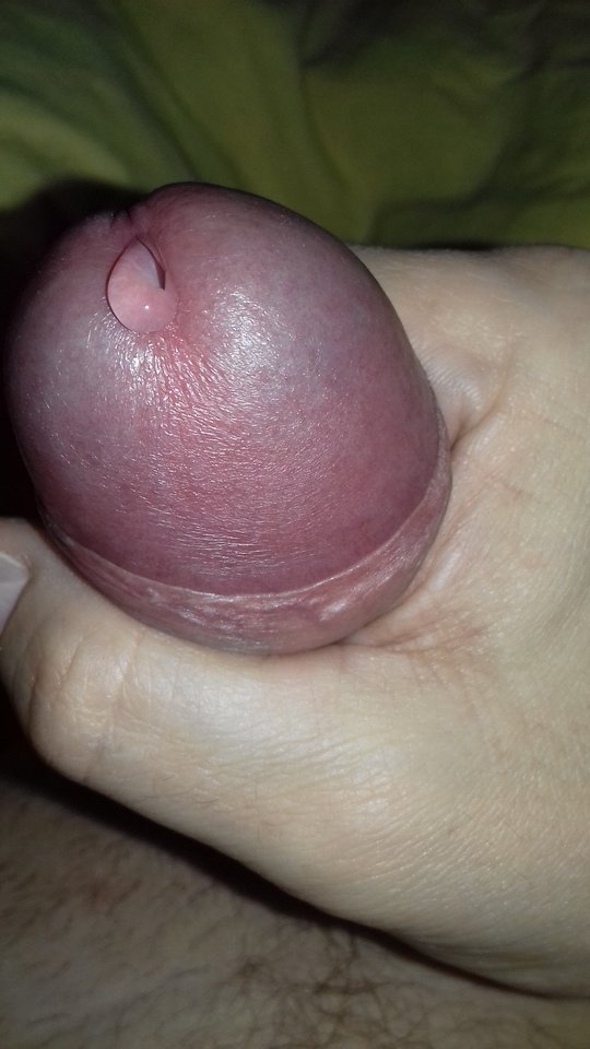 20181205_080228.jpg - przeznaczenie79