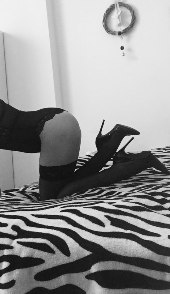 IMG_2796.JPG - ParaSJ7782