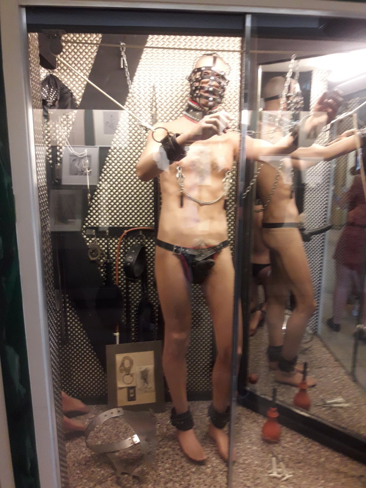 20170708_140342.jpg - naturysta280