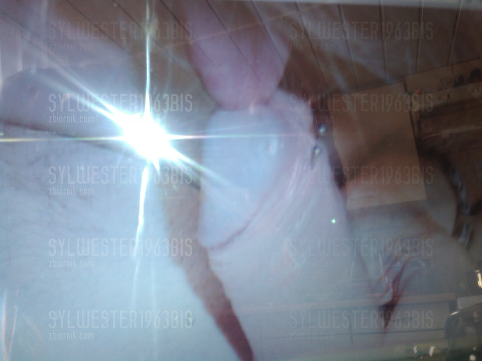 CameraZOOM-20150517175008749.jpg - sylwester1963bis