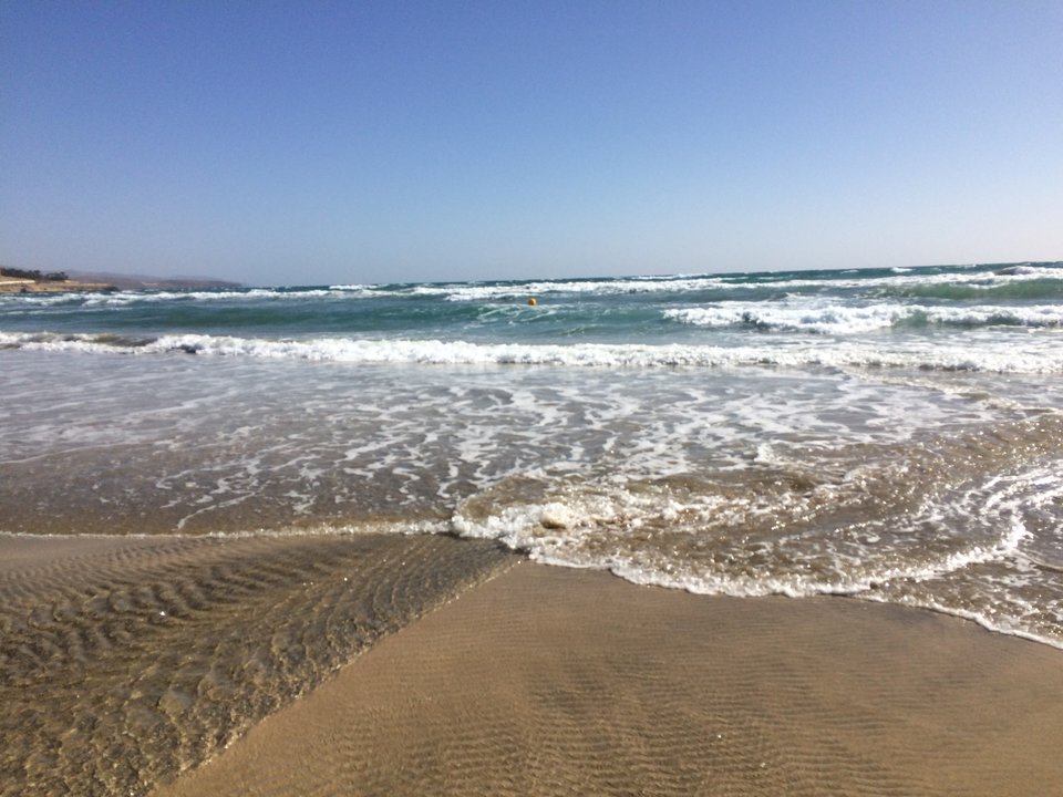 43AE0ED7-1CE0-4E26-BE56-79CD9B62CED8.jpeg - 123parka321