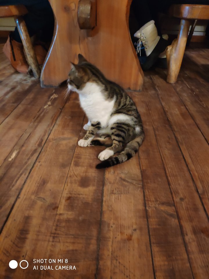 IMG_20190113_192602.jpg - MattVegass