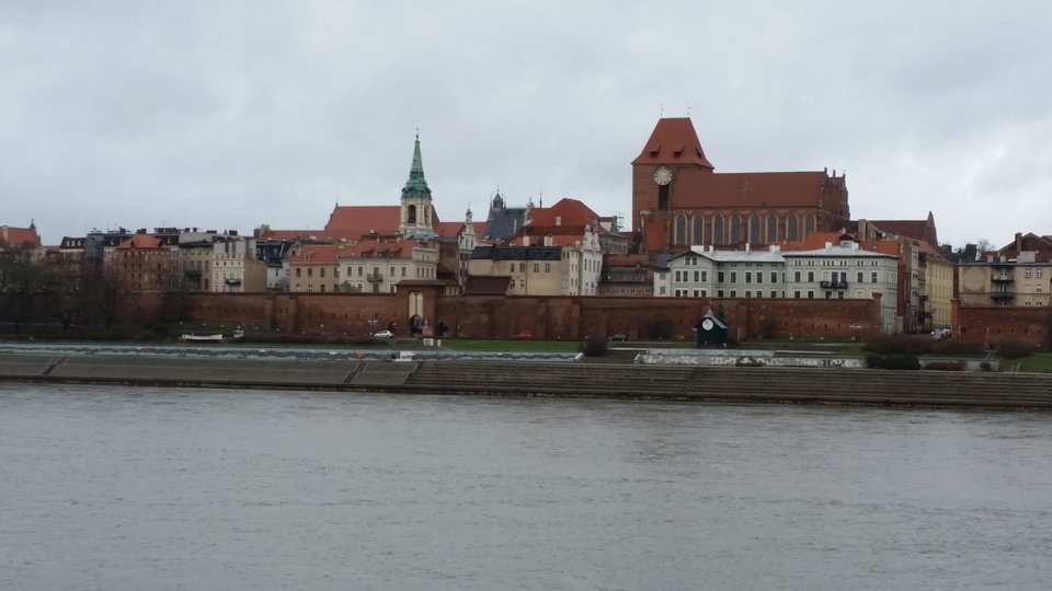 20190113_121723.jpg - Koralik66