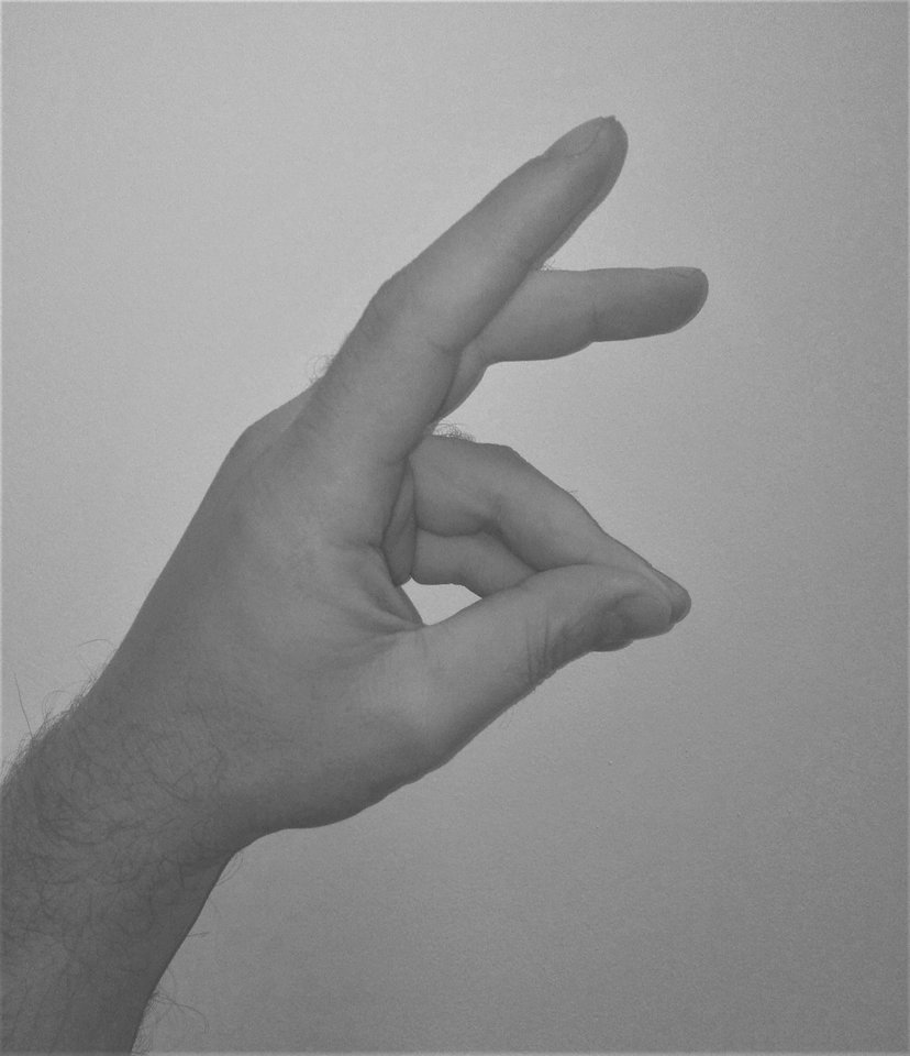 łapa.jpg - hotmilfhunter