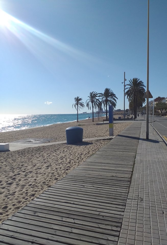 20190110_130543.jpg - Josep41