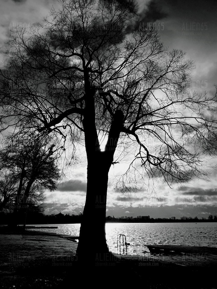 20190116_090659.jpg - Alien65