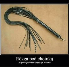 FB_IMG_15426228643938672.jpg