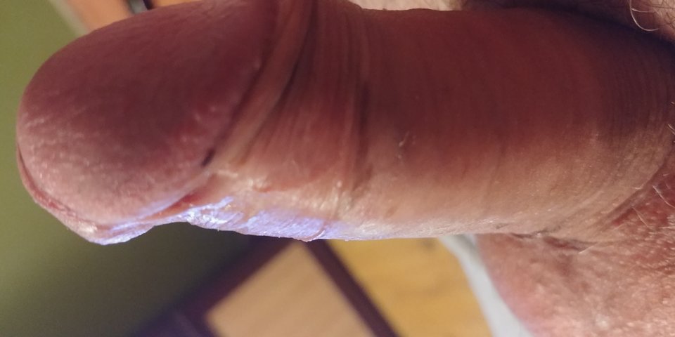 1547656700647269136110.jpg - Tomiak