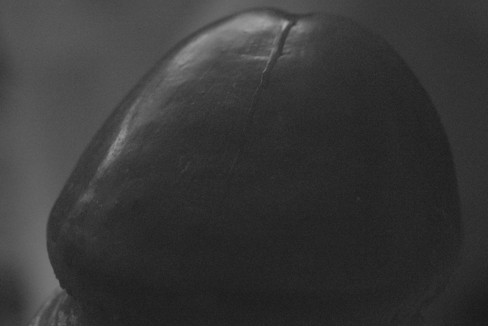 DSC_3483.jpg - Pitrheels