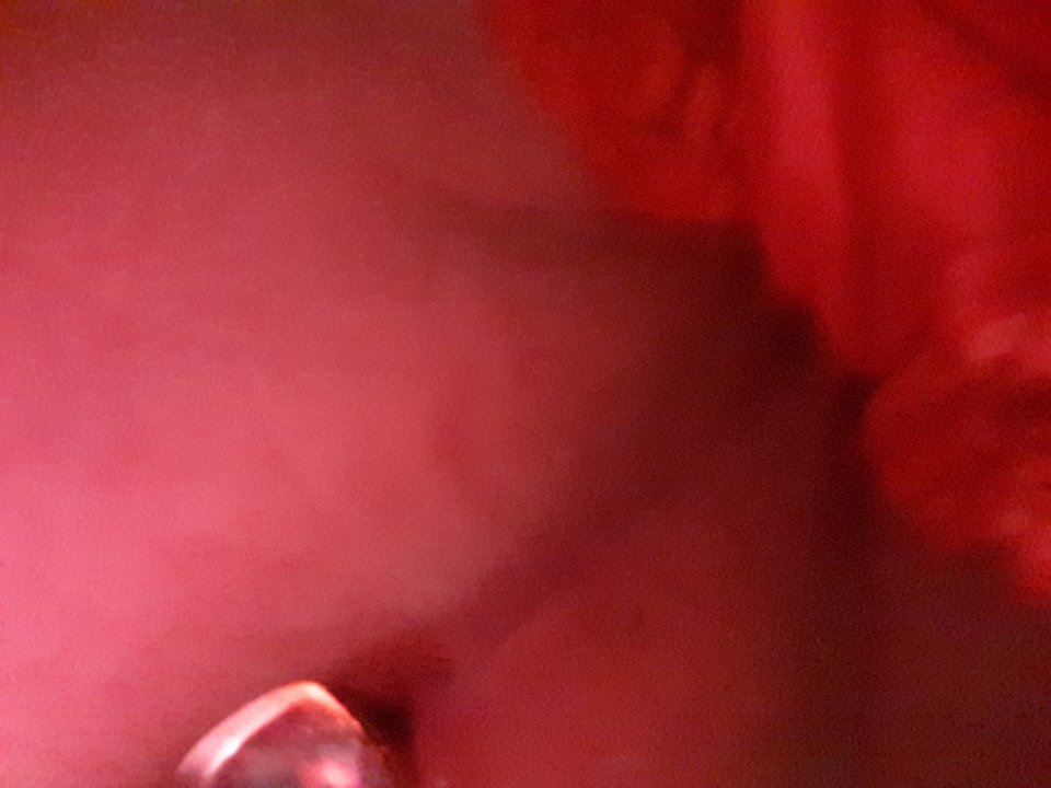 20190119_171607.jpg - Asia801
