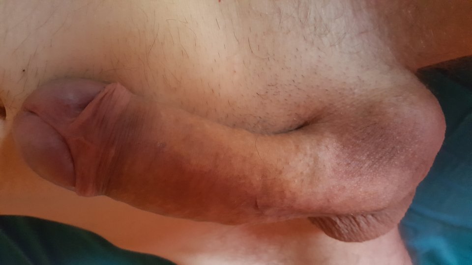 d5752943-f82a-44b0-80ed-cf0a33272cdb.jpg - Arkady1