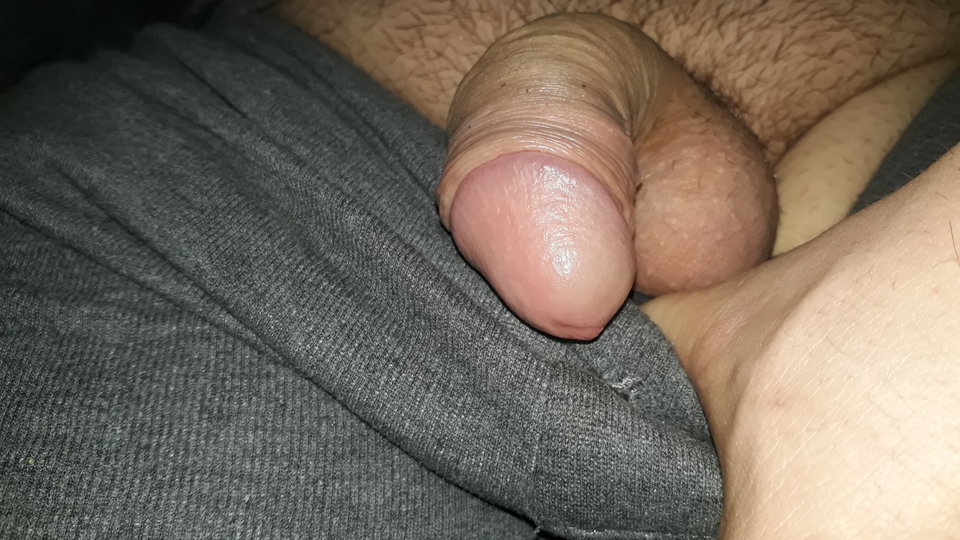 20190120_202704.jpg - MarekAntoniusz12