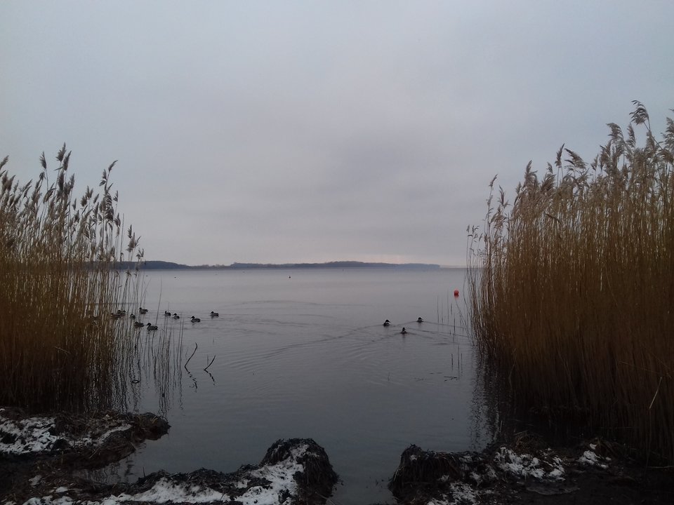 20190120_123053.jpg - torii99