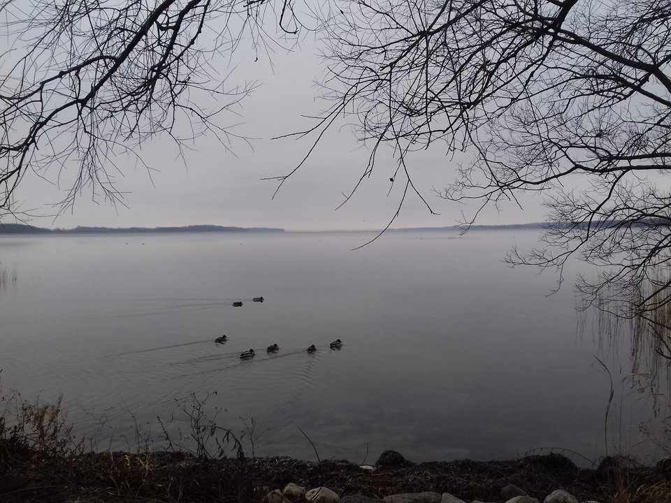 20190120_124153.jpg - torii99