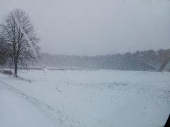 IMG_20190114_131759.jpg