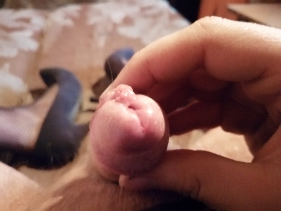 IMG_20190122_094252.jpg - Misiek2713