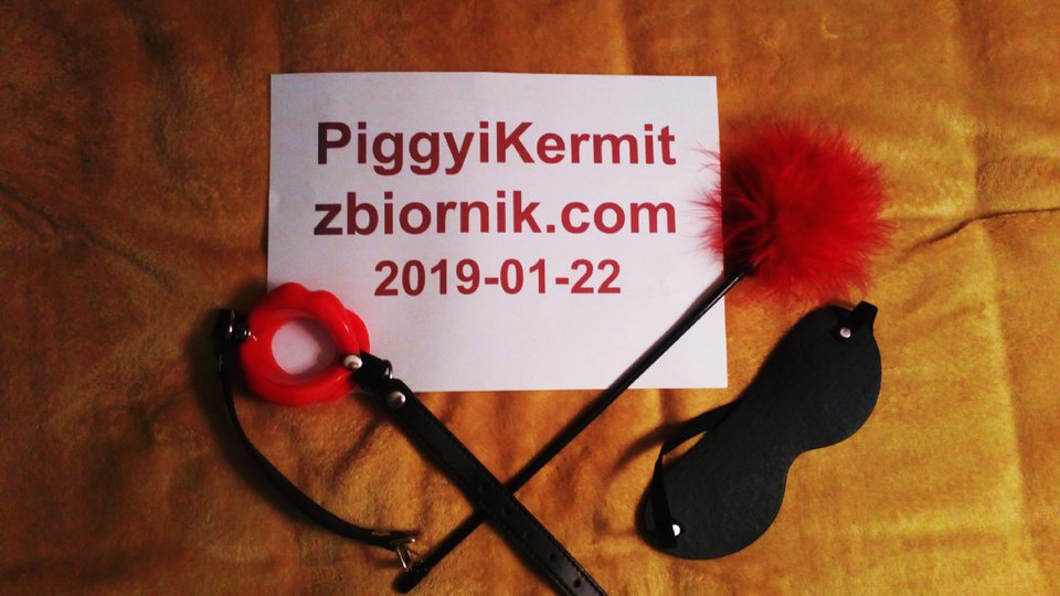 DSC_0293_1548176599707.jpg - PiggyiKermit