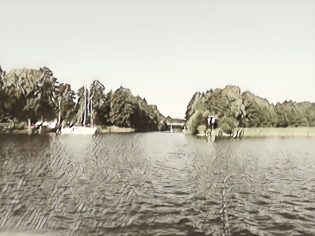 img1548308886051.jpg - dino8