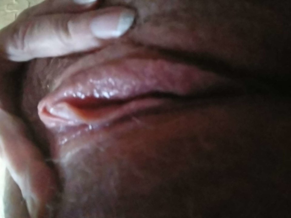 DSC_0027(1).JPG - borsuk41