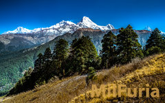 MilFuriowy Moment Wytchnienia