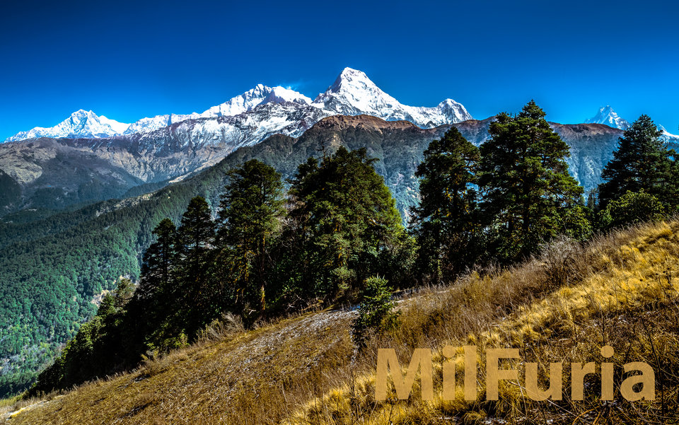 MilFuriowy Moment Wytchnienia - milFuria