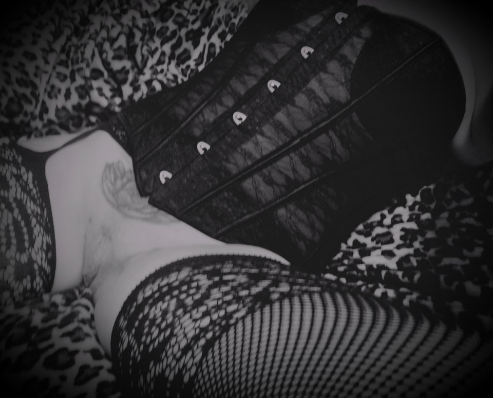 20190125_224308.jpg - PervertedBees