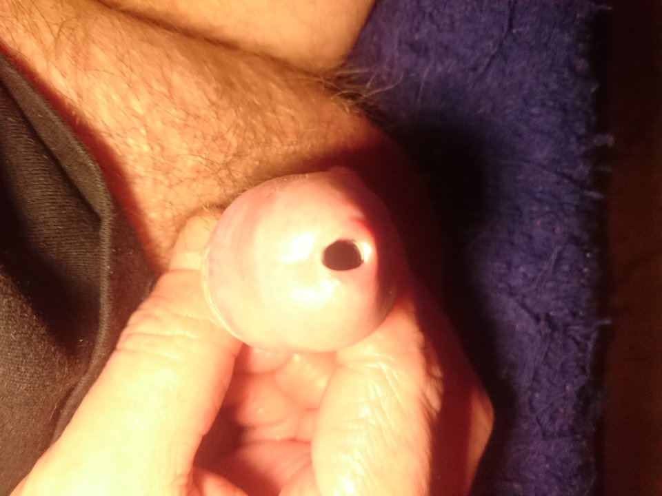 DSC_3096.JPG - Jacencior