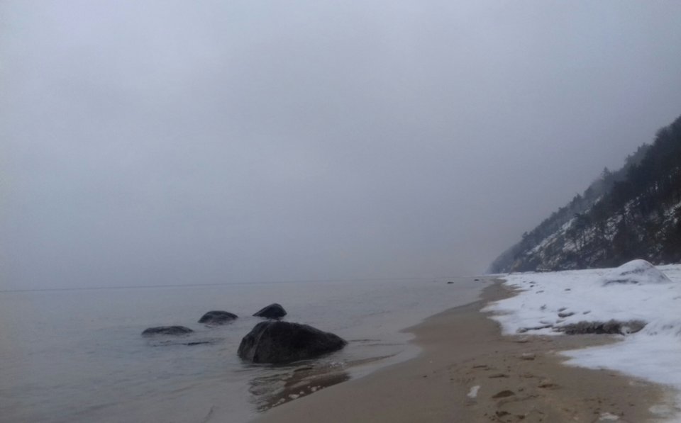 20190127_120127-1.jpg - torii99