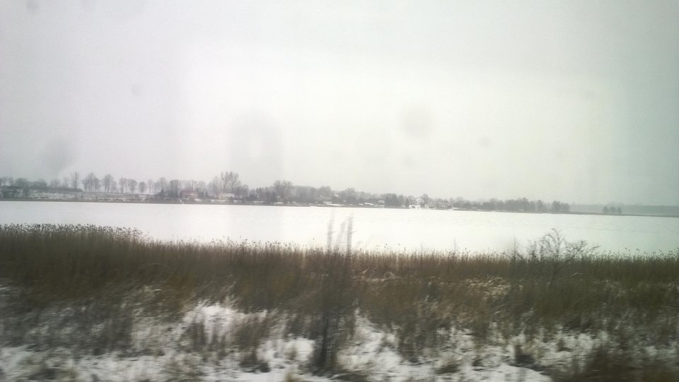 WP_20190125_023.jpg - Ratl