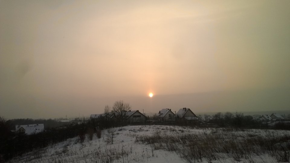 WP_20190126_008.jpg - Ratl