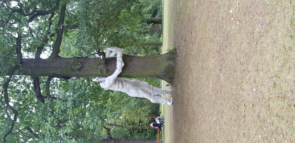 20180828_120710.jpg - balejaz