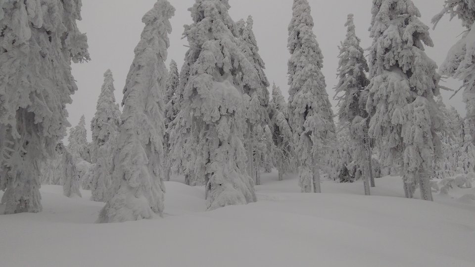 IMG_20190128_141603.jpg - StrongPecker