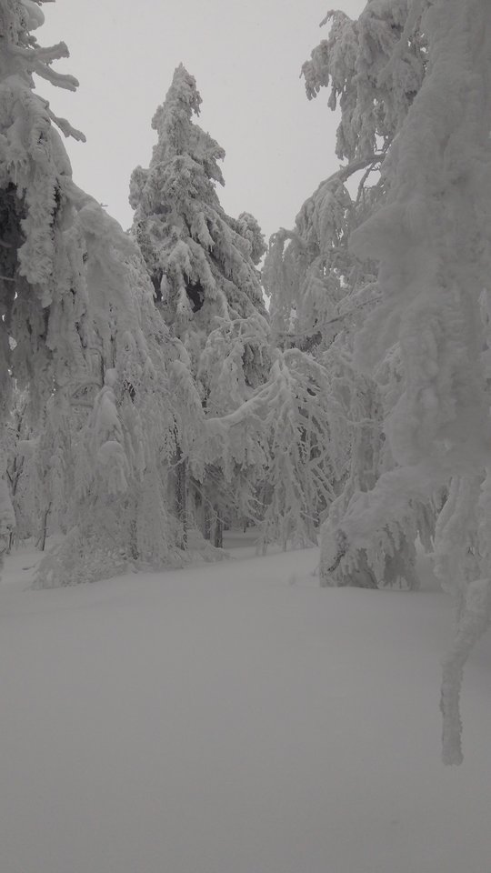 IMG_20190128_130814.jpg - StrongPecker