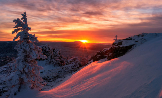 marcinwa43