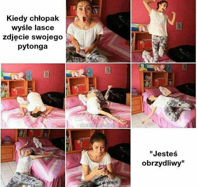 FB_IMG_1548745294088.jpg - zwyczajny42gda